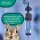SOLUFLO G LLVet (Tiermedizin) Infusionsbesteck 150cm