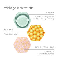 Allpresan Fuß spezial Schaum-Creme 3. Edition Limette Minze 125ml